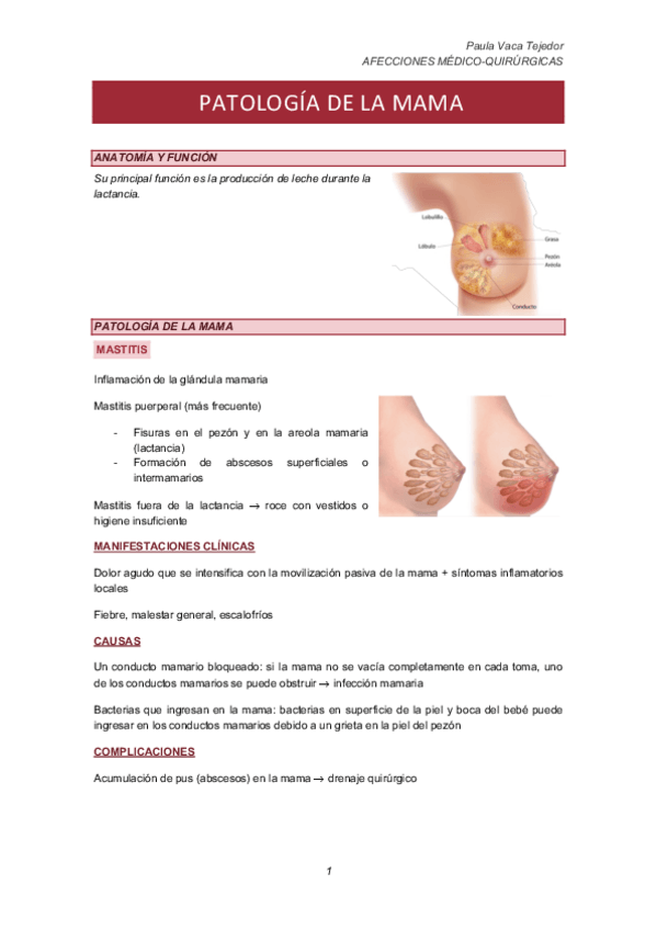 Miniatura del documento PATOLOGIA-DE-LA-MAMA.pdf