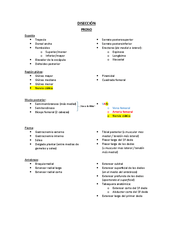 Miniatura del documento Estructuras disección músculos.pdf