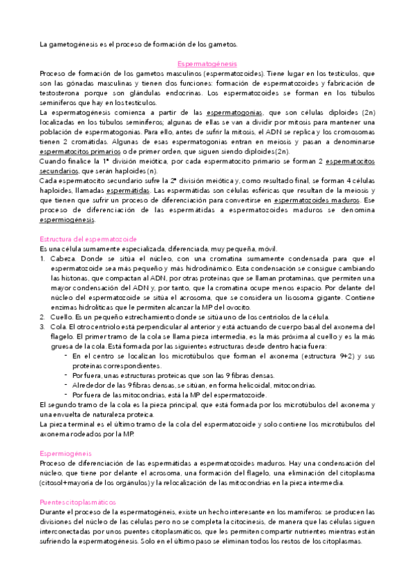 Miniatura del documento Tema 21. GAMETOGÉNESIS.pdf