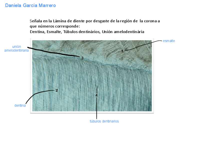 Miniatura del documento P13.pdf