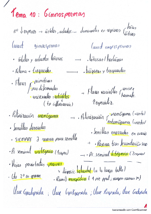 Miniatura del documento Tema-10-Gimnospermas.pdf