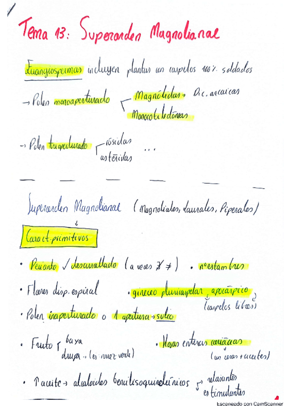 Miniatura del documento Tema-13-Superorden-Magnolianae.pdf