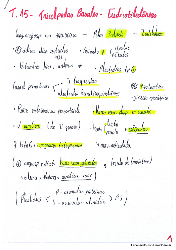 Miniatura del documento Tema-15-Tricolpadas-basales.pdf
