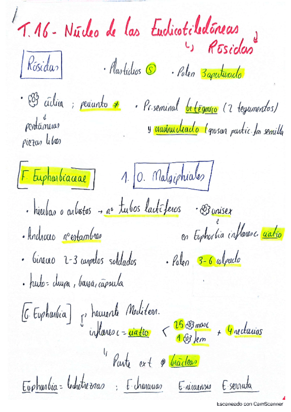 Miniatura del documento Tema-16-Rosidas.pdf