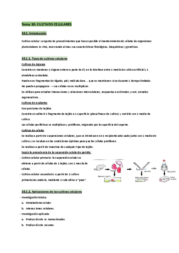 Miniatura del documento T.10-Biología molecular y citogenética.pdf