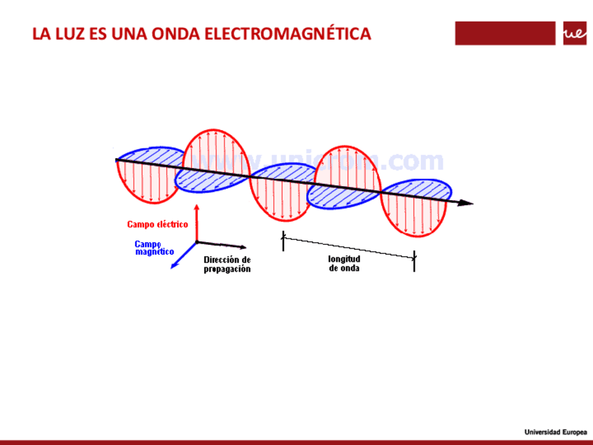Miniatura del documento Tema-4.-Repaso.pdf