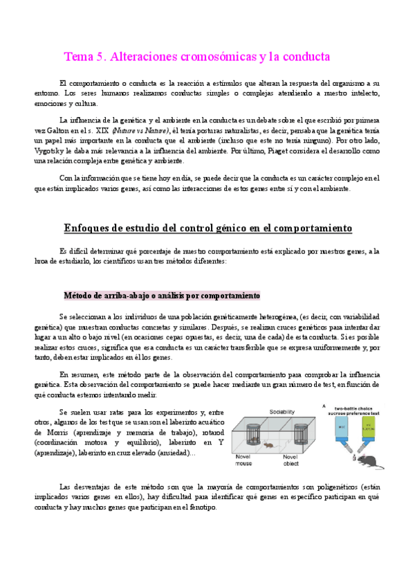 Miniatura del documento Ciclo-Vital-2o-Parcial-T5-T9.pdf