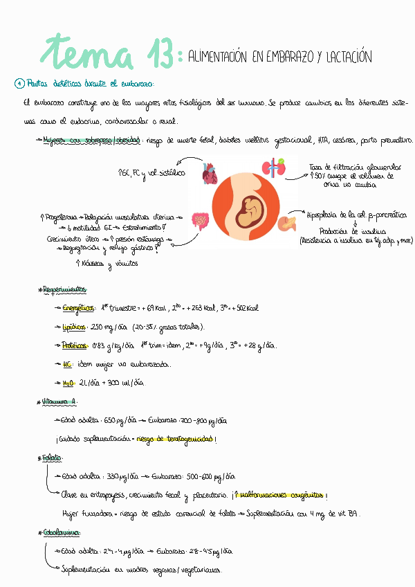 Miniatura del documento Tema-13.pdf