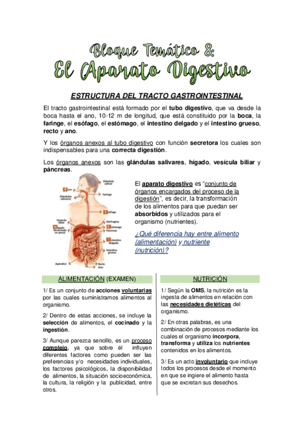 Miniatura del documento TEMA-8.-EL-APARATO-DIGESTIVO.pdf