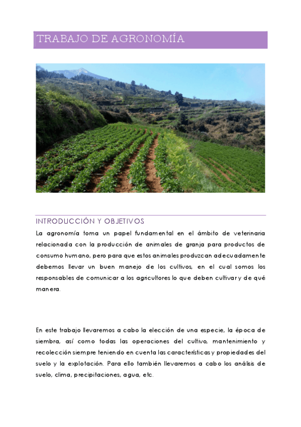 Miniatura del documento Trabajo-de-Agronomia-La-Gomera-sin-riego.pdf