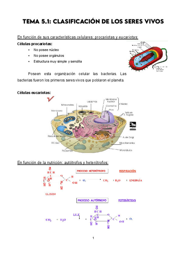 Miniatura del documento Tema-5.1.pdf