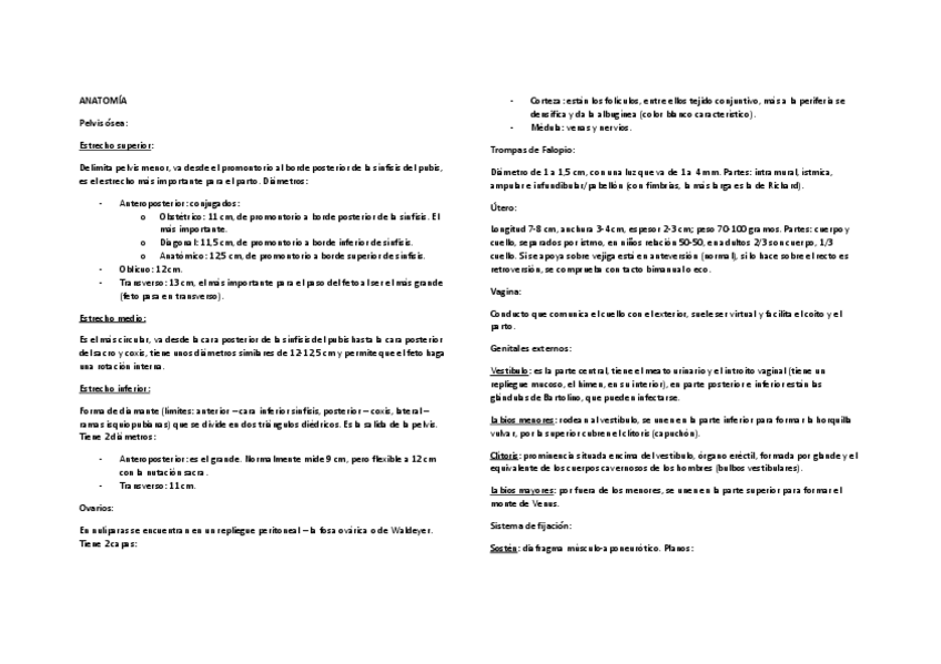 Miniatura del documento Resumen-gine.pdf