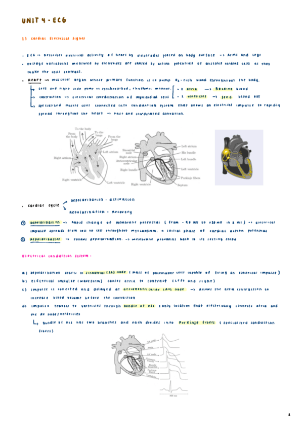 Miniatura del documento ECG-unit-4.pdf