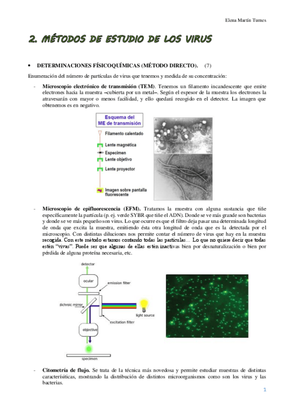 Miniatura del documento TEMA 2 VIROLOGIA.pdf