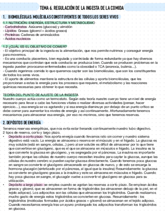 Miniatura del documento T6-Ingesta.pdf
