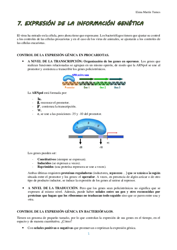 Miniatura del documento TEMA 7 VIROLOGIA.pdf