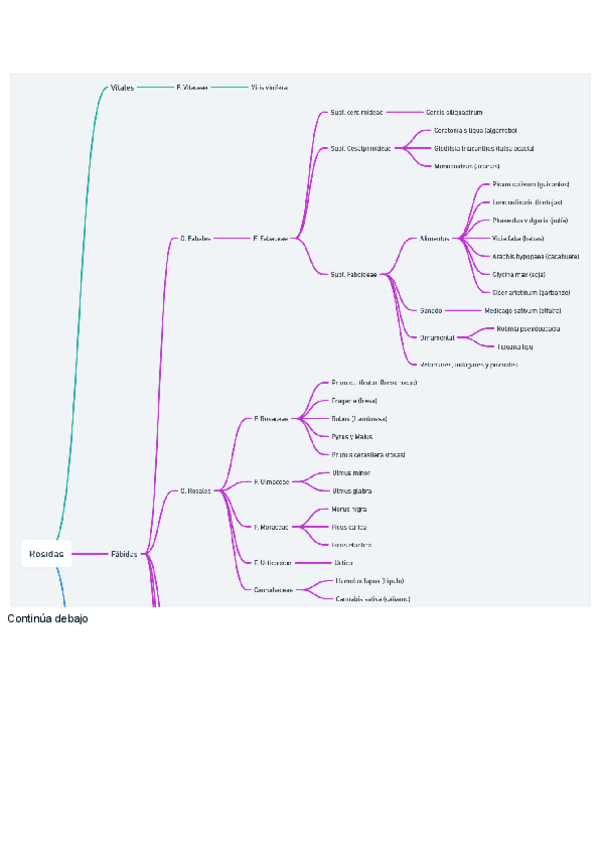 Miniatura del documento Esquema-tema-19-familias-y-especies.pdf