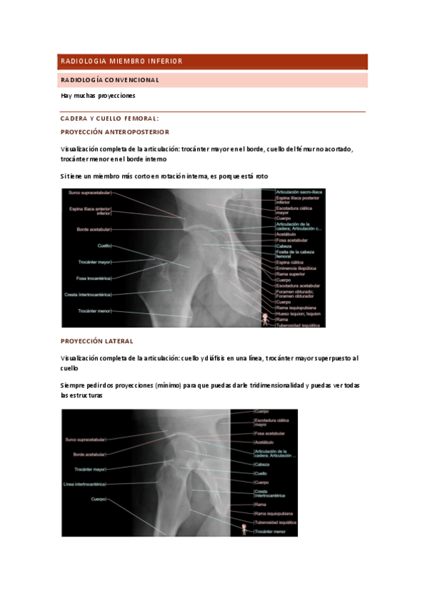 Miniatura del documento Radiologia-miembro-inferior.pdf