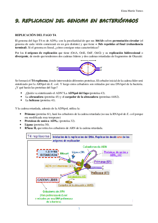 Miniatura del documento TEMA 9 VIROLOGIA.pdf