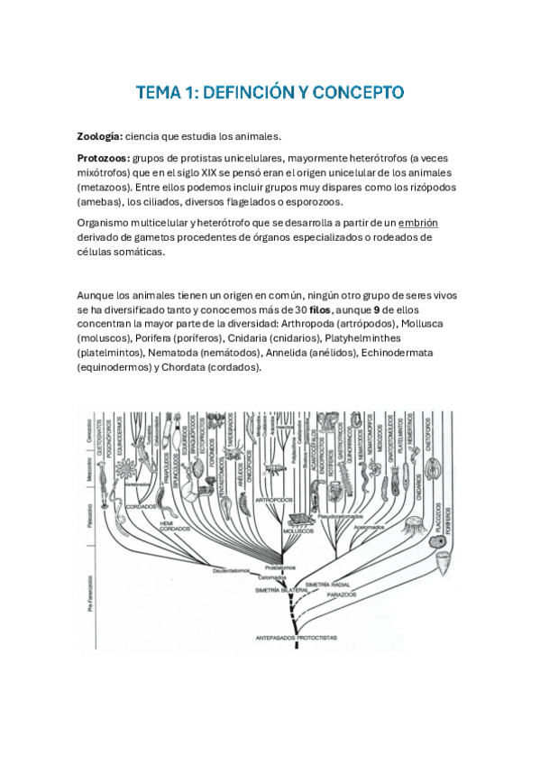 Miniatura del documento APUNTES-ZOOLOGIA.pdf