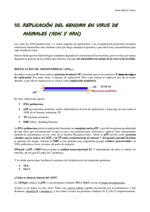 Miniatura del documento TEMA 10 VIROLOGIA.pdf