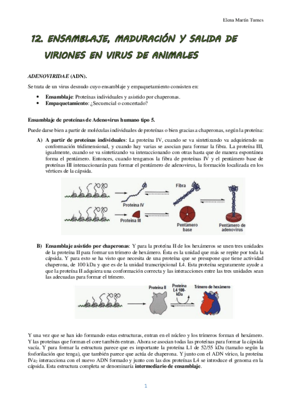 Miniatura del documento TEMA 12 VIROLOGIA.pdf