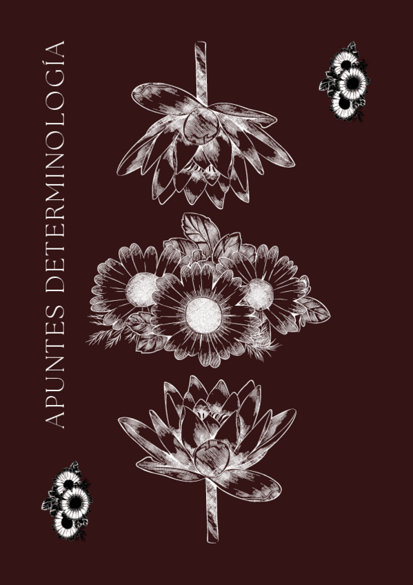 Miniatura del documento Apuntes-Terminologia-Sergio.pdf