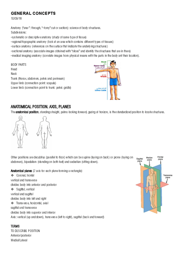 Miniatura del documento Human Anatomy 1-8.pdf