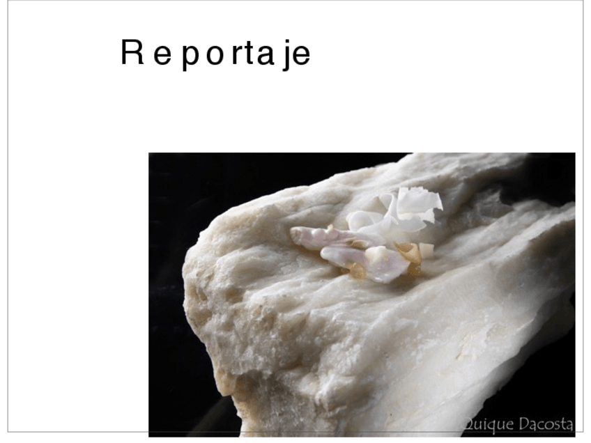 Miniatura del documento el reportaje.pdf