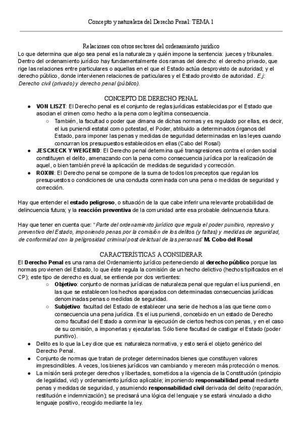 Miniatura del documento Derecho-penal.pdf