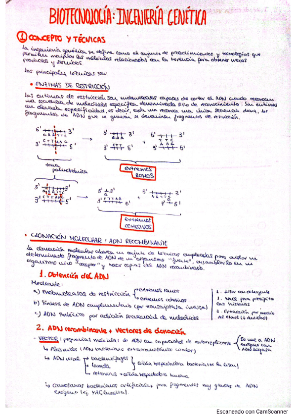 Miniatura del documento apuntes-biotecnologia-e-ingenieria-genetica.pdf