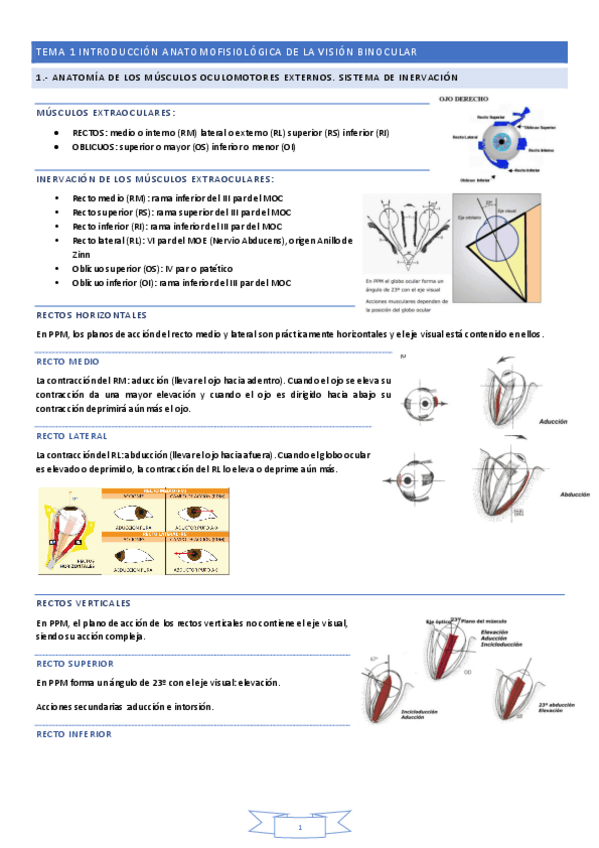 Miniatura del documento TEMAS-1-6.pdf