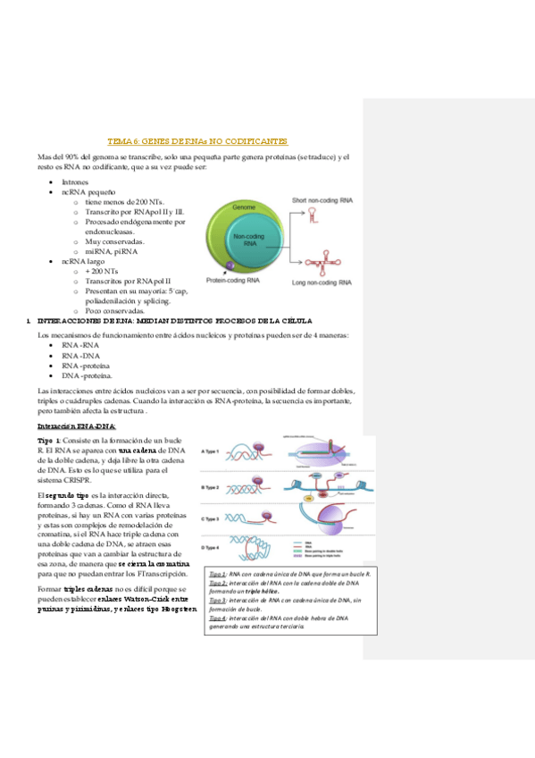 Miniatura del documento TEMA-6-GENES-DE-RNAs-NO-CODIFICANTES.pdf