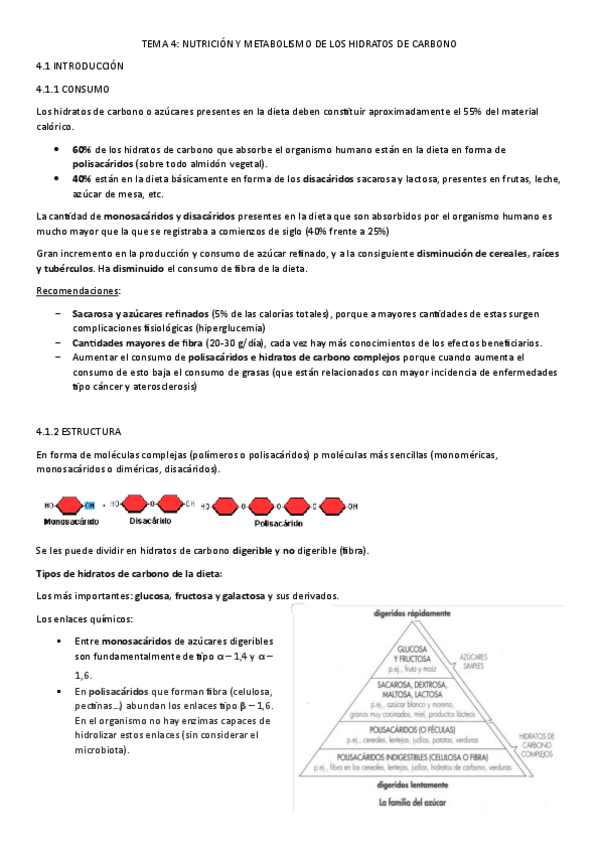Miniatura del documento TEMA-4.pdf