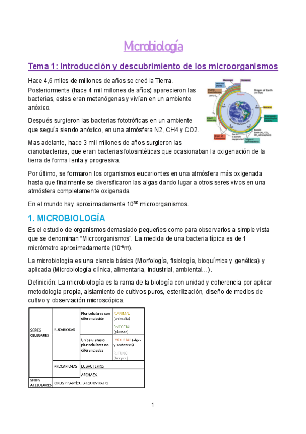Miniatura del documento Microbiologia-apuntes.pdf