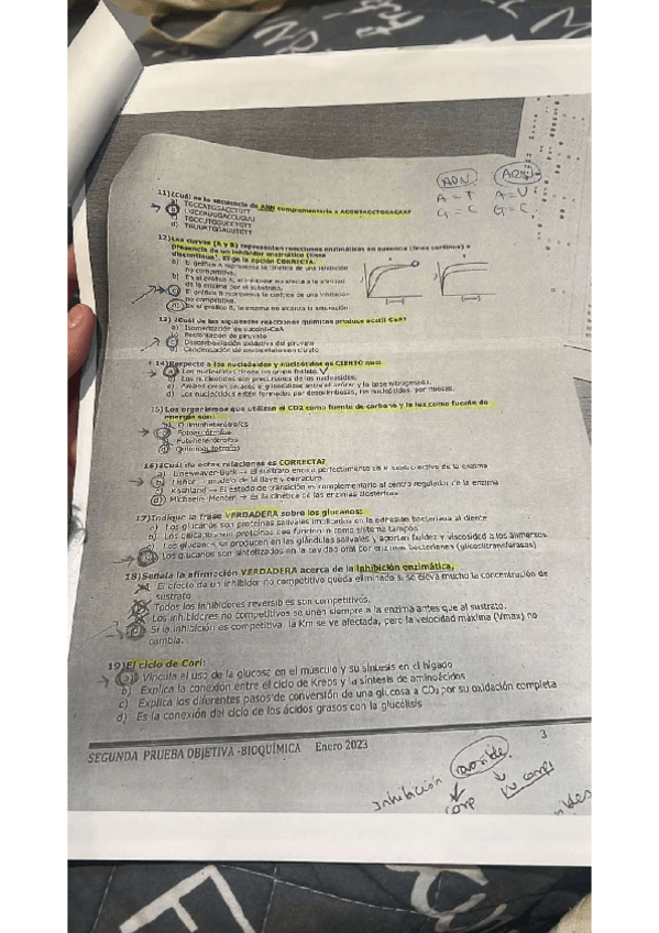 Miniatura del documento Segundo-Parcial-2023-BQ.pdf