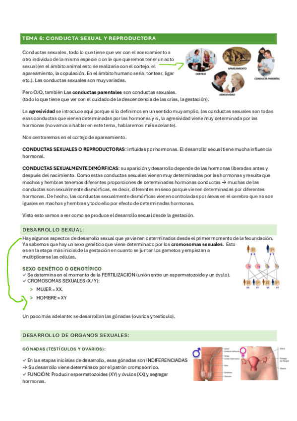 Miniatura del documento TEMARIO-2o-PARCIAL.pdf