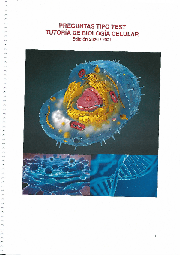 Miniatura del documento PREGUNTAS-TEST-BIOLOGIA.pdf