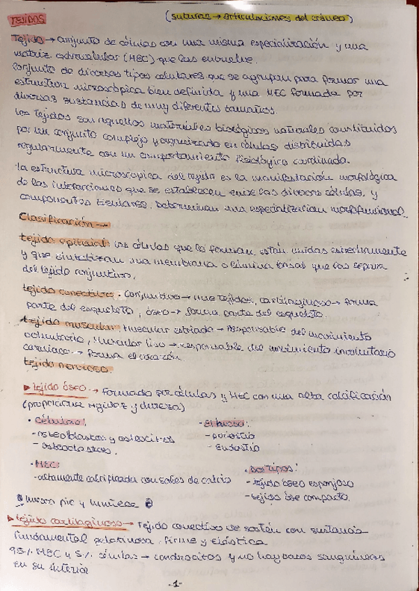 Miniatura del documento Unidad-3-Huesos-y-articulaciones.pdf