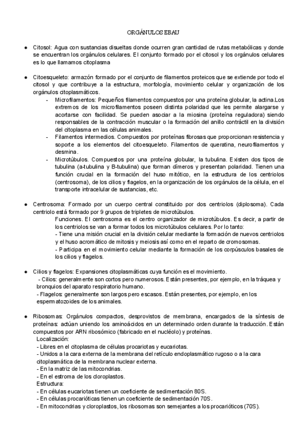 Miniatura del documento ORGANULOS-EBAU.pdf