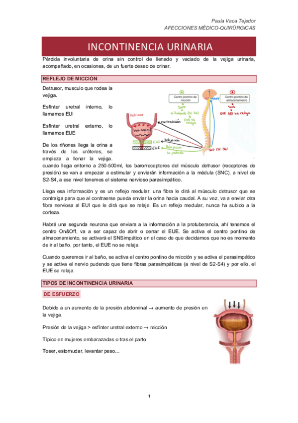 Miniatura del documento INCONTINENCIA-URINARIA.pdf