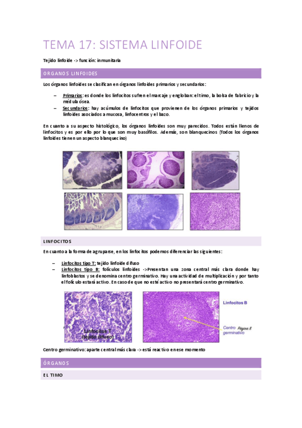 Miniatura del documento Tema-17-18-sistema-linfoide-1.pdf