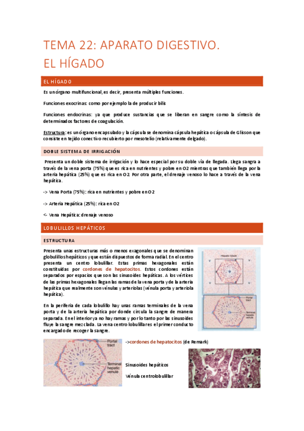 Miniatura del documento Tema-22-Aparato-digestivo.-Higado.pdf