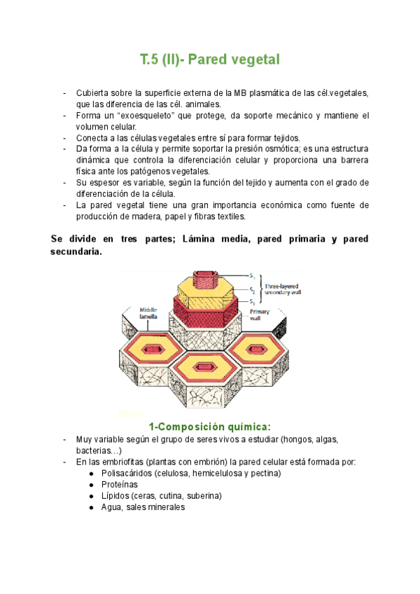 Miniatura del documento T.-5II-Pared-vegetal.pdf