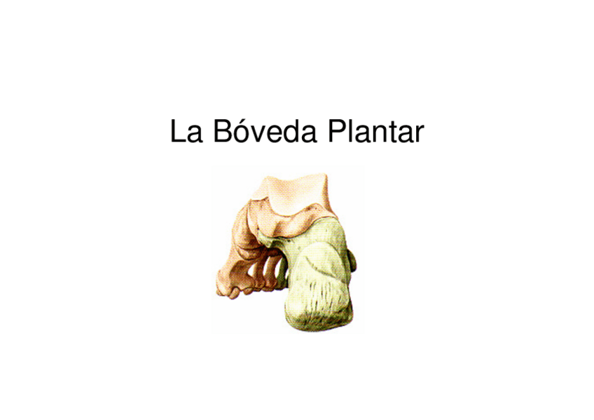 Miniatura del documento Boveda-plantar-editado.pdf