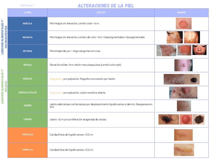 Miniatura del documento Tabla-resumen-Alteraciones-de-la-piel.pdf