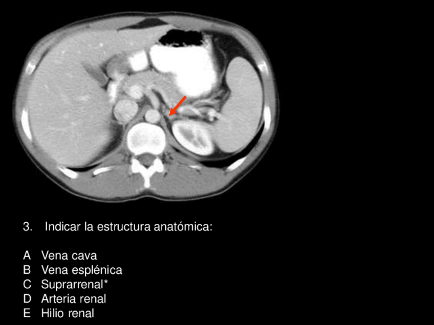 Miniatura del documento examen-practico 1.pdf