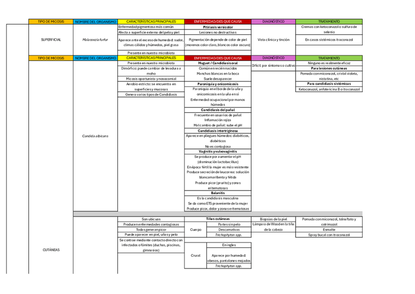 Miniatura del documento CUADRO-ENFERMEDADES-HONGOS-PROTOZOOS-Y-HELMINTOS-4o-PARCIAL.pdf