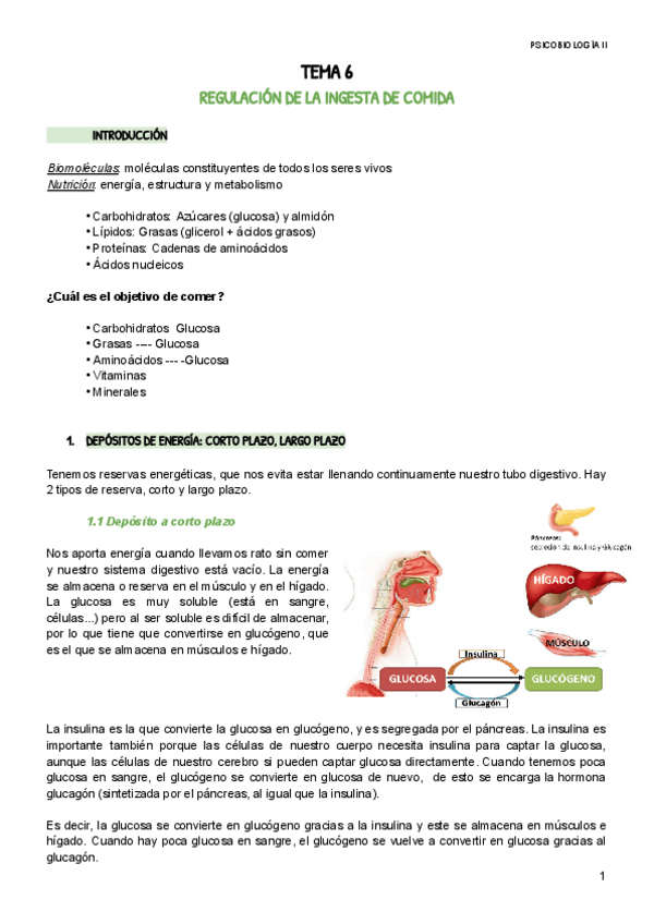 Miniatura del documento PB2-TEMA-6.pdf