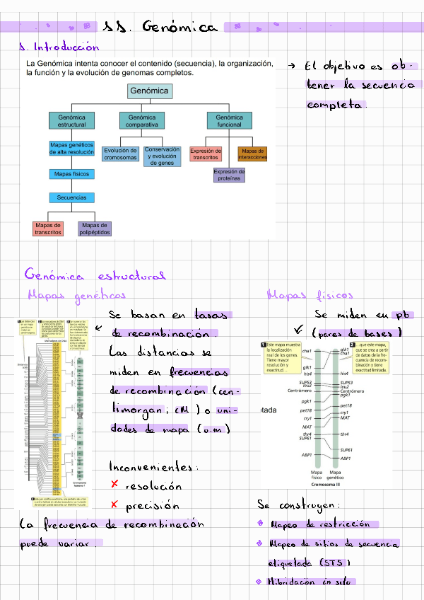 Miniatura del documento genetica-ii-tema-11-genomica.pdf